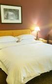 Туры в отель Sheraton Eatontown Hotel