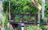 Туры в отель Orchidacea Resort (ex. Pop Cottage)
