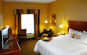 Туры в отель Hampton Inn Utica