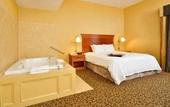 Туры в отель Hampton Inn Utica