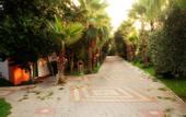 Туры в отель Nergos Garden Hotel