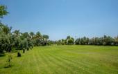 Туры в отель MC Arancia Resort Hotel