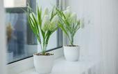 Туры в отель На Менделеева 11\/2