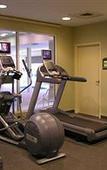 Туры в отель Hilton Garden Inn St. Charles