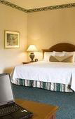 Туры в отель Hilton Garden Inn St. Charles