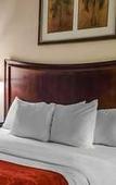 Туры в отель Comfort Suites Mobile