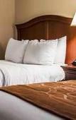 Туры в отель Comfort Suites Mobile