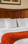 Туры в отель Comfort Suites Mobile