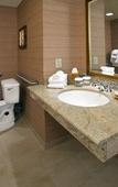 Туры в отель Embassy Suites by Hilton Loveland Conference Center