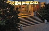 Туры в отель Orle