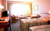Туры в отель Osaka Tokyu Hotel