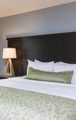 Туры в отель Staybridge Suites Canton by IHG