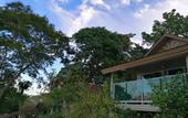 Туры в отель Phi Phi Bayview Premier Resort