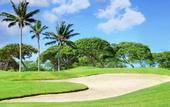 Туры в отель Outrigger Fairway Villas