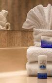 Туры в отель Best Western Andersen's Inn