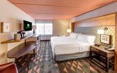 Туры в отель Holiday Inn Auburn-Finger Lakes Region by IHG