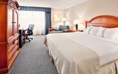 Туры в отель Holiday Inn Auburn-Finger Lakes Region by IHG