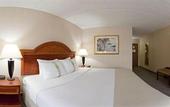 Туры в отель Holiday Inn Auburn-Finger Lakes Region by IHG