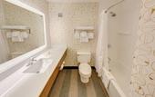 Туры в отель Holiday Inn Auburn-Finger Lakes Region by IHG