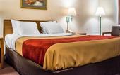 Туры в отель Econo Lodge Painted Post - Corning