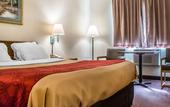 Туры в отель Econo Lodge Painted Post - Corning