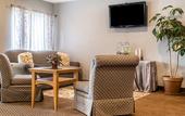 Туры в отель Econo Lodge Painted Post - Corning