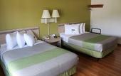 Туры в отель Motel 6 Binghamton, NY