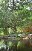 Туры в отель El Monte Sagrado Living Resort & Spa