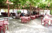 Туры в отель Pachis Beach Hotel