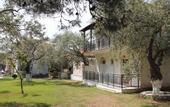 Туры в отель Pachis Beach Hotel
