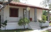 Туры в отель Pachis Beach Hotel