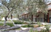 Туры в отель Pachis Beach Hotel