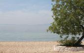 Туры в отель Pachis Beach Hotel
