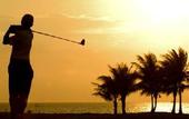Туры в отель The Pacific Sutera Hotel