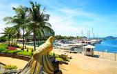 Туры в отель The Pacific Sutera Hotel