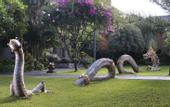 Туры в отель Padma Resort Legian
