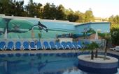 Туры в отель Paguera Beach