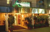 Туры в отель Acapulco Beach Hotel