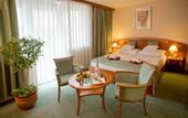 Туры в отель Palace Hotel Heviz
