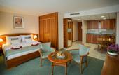 Туры в отель Palace Hotel Heviz