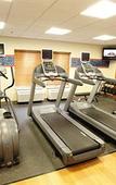 Туры в отель Hampton Inn Rockford