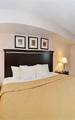 Туры в отель Best Western Rochelle Inn & Suites near DeKalb