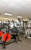 Туры в отель Best Western Rochelle Inn & Suites near DeKalb