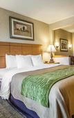 Туры в отель Comfort Inn Rockford near Casino District