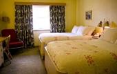 Туры в отель Holiday Music Motel