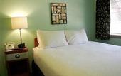 Туры в отель Holiday Music Motel