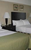 Туры в отель Holiday Inn Johnstown Downtown by IHG