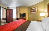 Туры в отель Comfort Inn Missoula near University