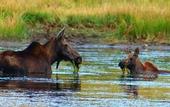 Туры в отель The Lodge At Lolo Hot Springs