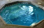 Туры в отель Hampton Inn Junction City